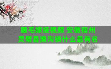 睫毛嫁接视频 安徽宿州灵璧县渔沟镇什么最有名